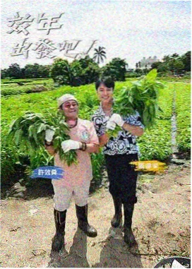 大逃脱 综艺在线观看